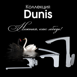Dunis