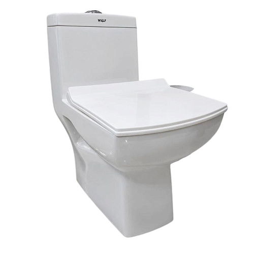 Унитаз моноблок безободковый 114 Falcon P Trap